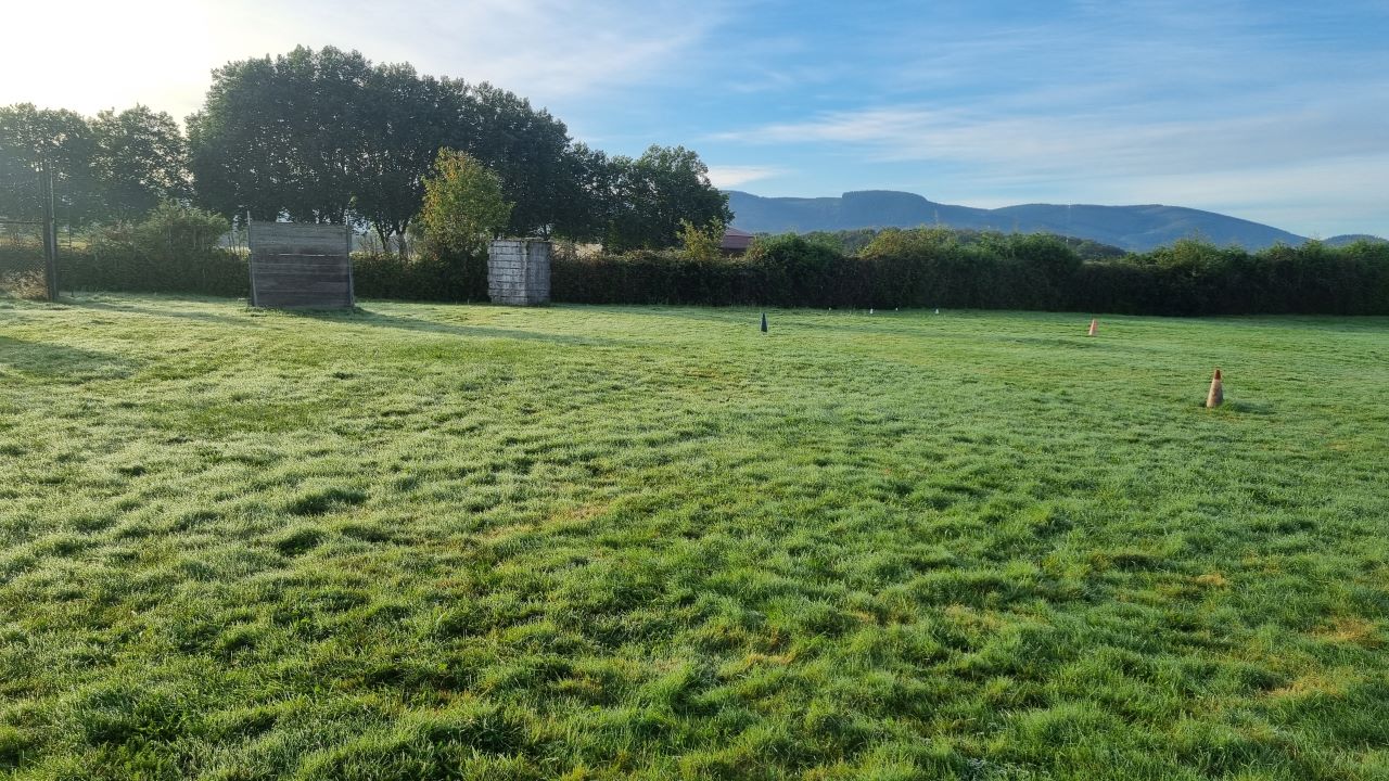 Terrain 3.jpg