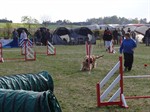 DSC01278