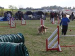 DSC01284