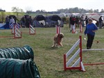 DSC01285