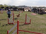 DSC01319