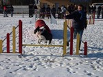 P1020269