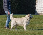 12640365_1022852554420904_5217710243193311783_o (Personnalisé)