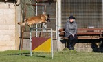 12640402_1022853707754122_2872121788777574645_o (Personnalisé)