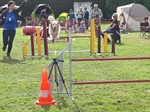 21741347_1550102621695892_7712725678925713123_o (Personnalisé)