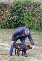 119886265_3425071790865623_2139068067822638449_n (Personnalisé)