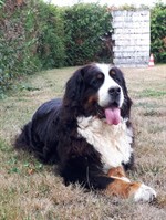 119950359_3425072140865588_1619621658640415158_n (Personnalisé)