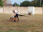 119962087_3425072034198932_4185723865048024353_n (Personnalisé)