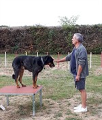 119979802_3422661101106692_5401306582602396108_n (Personnalisé)