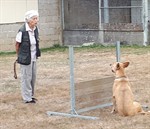 119992129_3425070140865788_5478326834844165516_n (Personnalisé)