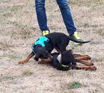 120028958_3425068657532603_1374825691865633586_n (Personnalisé)