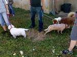37652029_1881505005222317_2911654099139166208_n (Personnalisé)