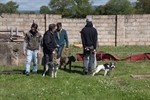 37893768_1888583324514485_1549346152803991552_n (Personnalisé)