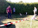 41701045_1961874353852048_6751800881231953920_n (Personnalisé)