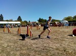 41715287_1961878773851606_5578235599137013760_n (Personnalisé)