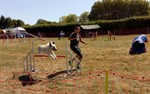 41721351_1961877123851771_7453391640233771008_n (Personnalisé)