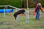 46801067_2057827704256712_8737344848920576000_n (Personnalisé)