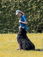 49400886_2117717804934368_6424819940041162752_n (Personnalisé)