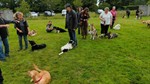 IMG20240623094245