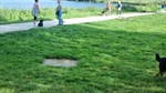 20240728_095055