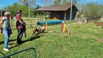 20240414_104935