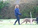DSC02748