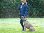 DSC02819
