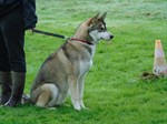 DSC02832