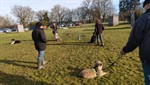 1-IMG20250126101137