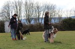 1-IMG_0281