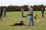1-IMG_0298