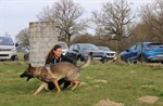 1-IMG_0306