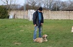 1-IMG_0322