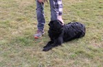 1-IMG_0333