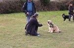 1-IMG_0336