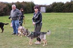 1-IMG_0337