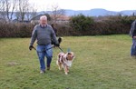 1-IMG_0340