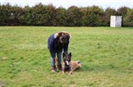 1-IMG_0346