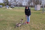 1-IMG_0349