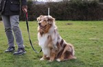 1-IMG_0357