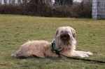 1-IMG_0360