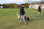 1-IMG_0364