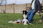 1-IMG_0422