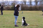 1-IMG_0437