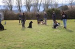 1-IMG_0451