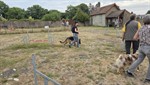 20250720_094417