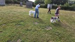 20250727_094334