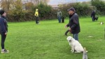 20251102_094205