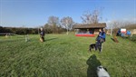 20260308_094148