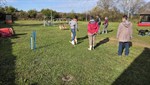 20260405_094049
